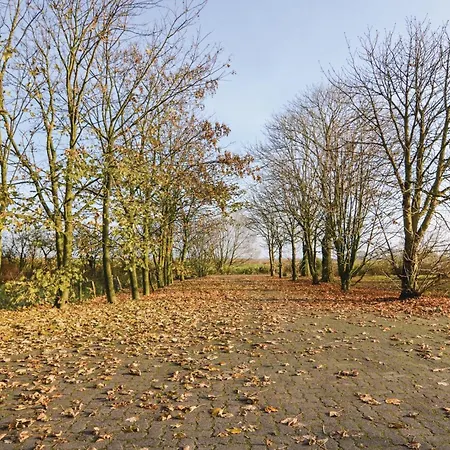 Lovely In With Sauna Feriehus Ockholm